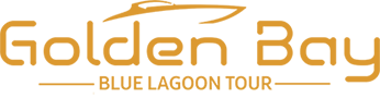 Blue Lagoon Tour Logo