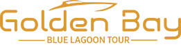 Blue Lagoon Tour Logo